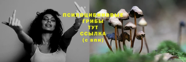 кристаллы Няндома