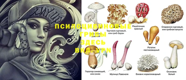 амф Нягань
