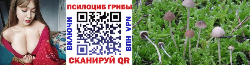 что такое   Мытищи  кракен рабочий сайт  Галлюциногенные грибы прущие грибы 