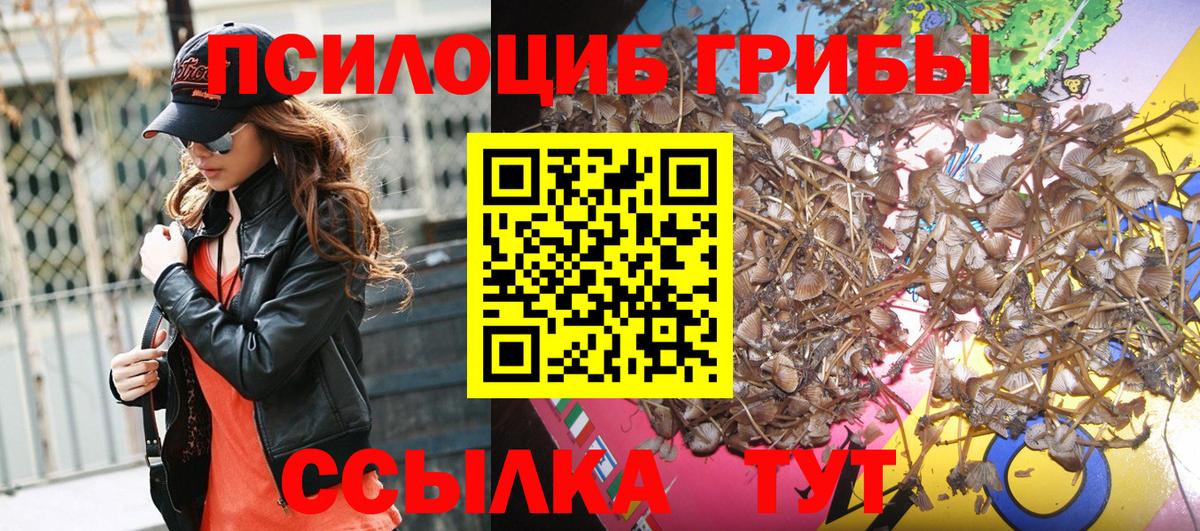 Мытищи  Псилоцибиновые грибы мухоморы  Галлюциногенные грибы Psilocybine cubensis  Вход с VPN 