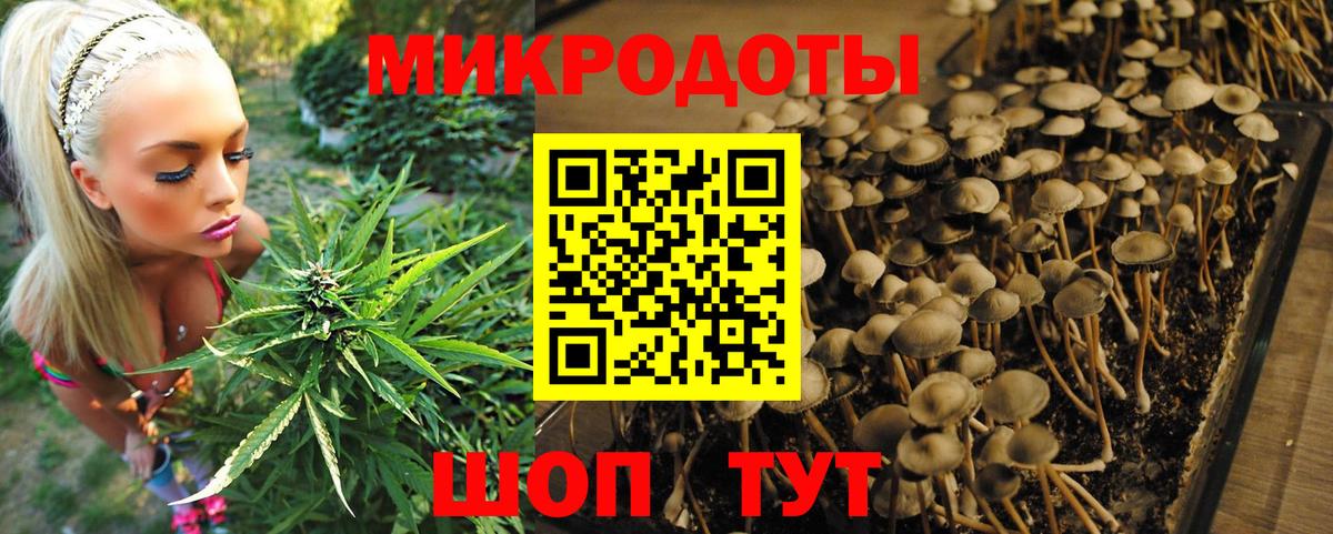 Галлюциногенные грибы мицелий Мытищи